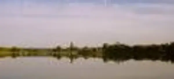 Jezioro Dymaczewskie: piękno natury, atrakcje i tajemnice jeziora